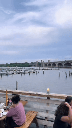 Maryland-Chesapeake Bay blue crab eggs-MHW
