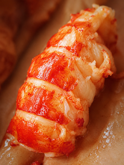 Fresh lobster tail meat with shell-MHW