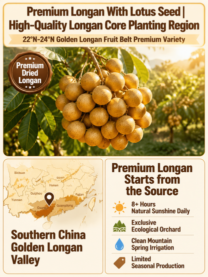 🙆‍♀️Longan Wrapped Lotus Seeds. Natural Ready-to-Eat Dried Fruit Snack for HeaIth & Relaxation-MHW
