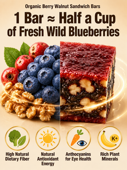 ⛰️Blueberry Walnut Hawthorn Bites, No Added Sugar-MHW