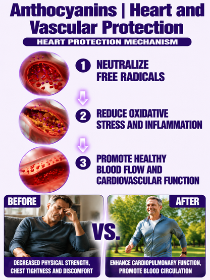 Healthy Low Fat Purple Sweet Potato Snack-MHW