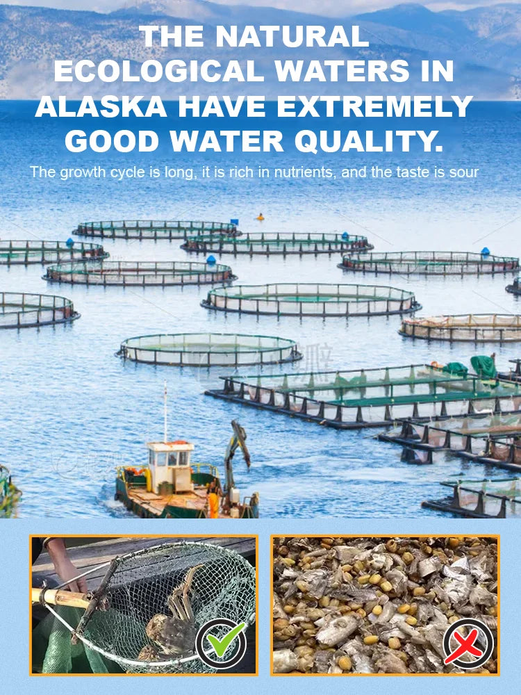 Alaskan Snow Crab Ready-to-EatCrispy Crab-MHW